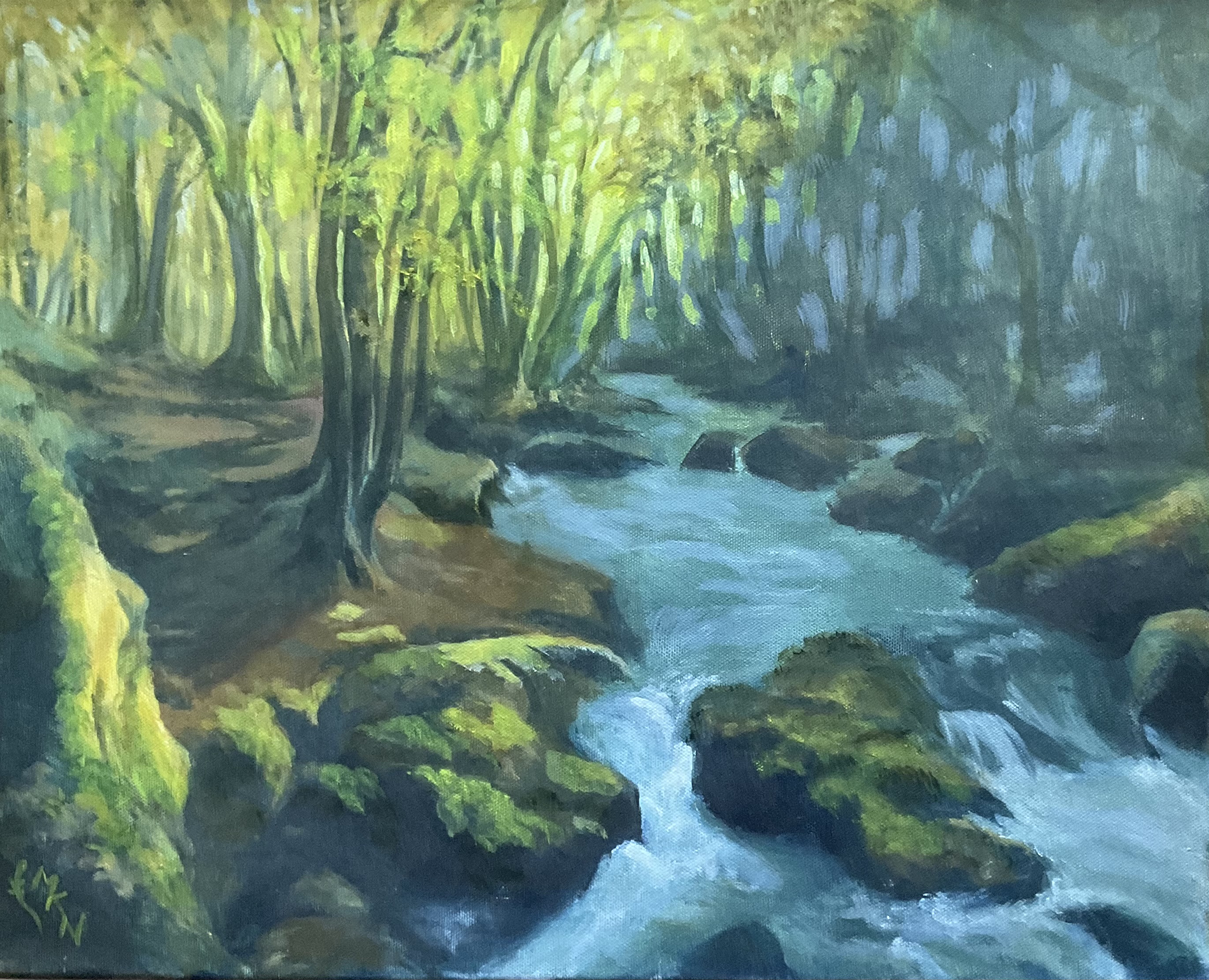 Dappled Woodland Stream